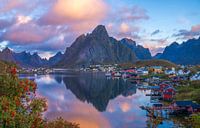 Lofoten