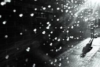 silhouette in sunbeams