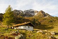 Autumn at the Wildalm beneath Wildseeloder in Tyrol