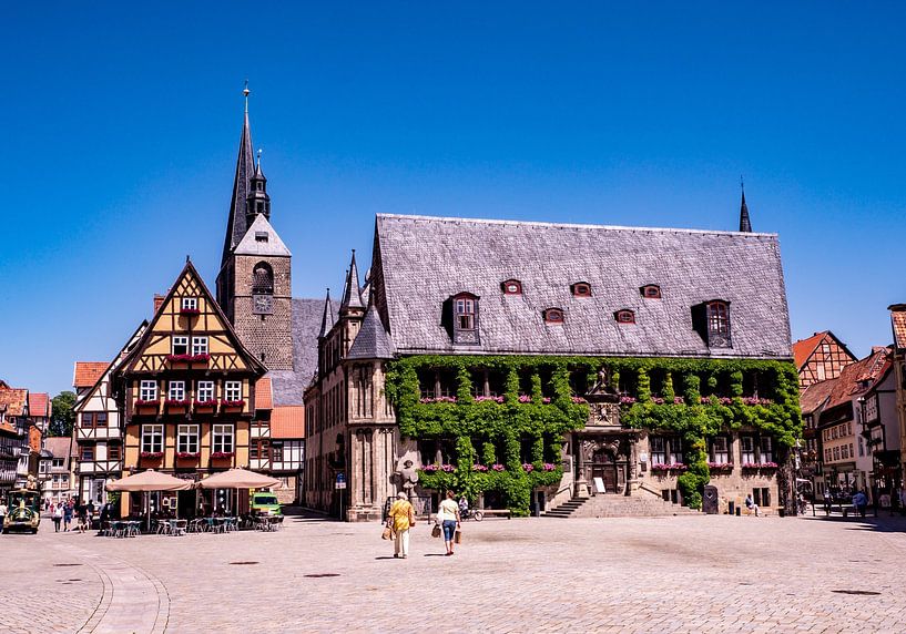 Blick auf das Rathaus von Quedlinburg im Harz von Animaflora PicsStock