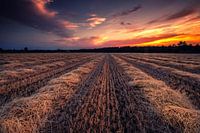 Zonsondergang bij gemaaide hooi in Achterhoek