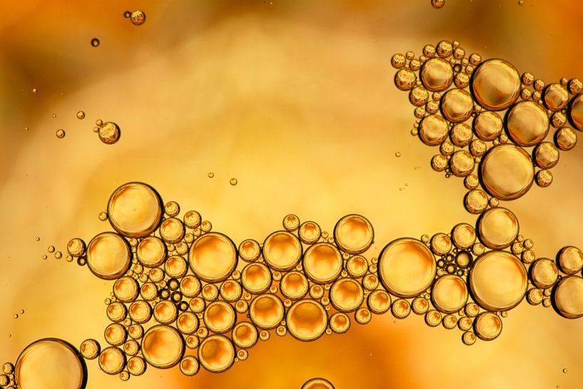 Drops of oil on water by Lucia Leemans