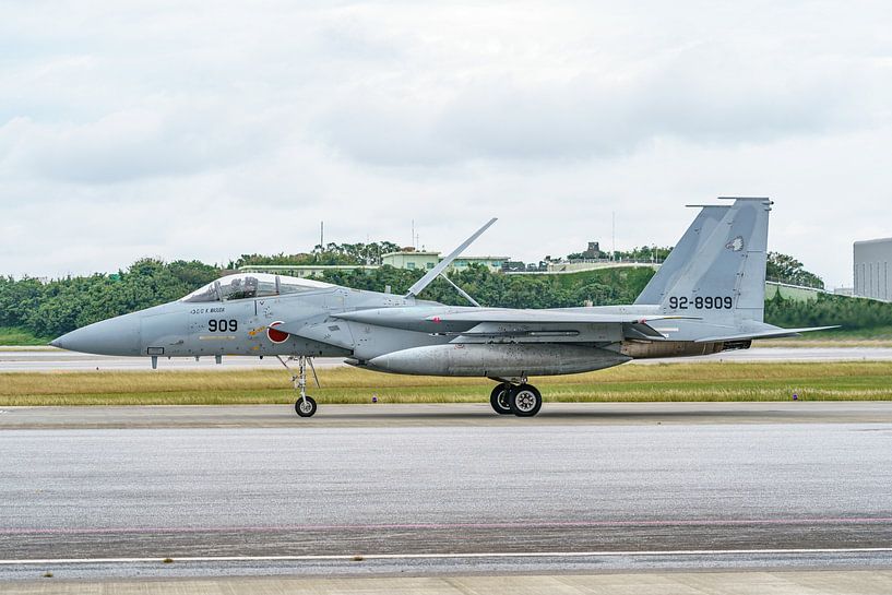 Le McDonnell Douglas F-15J Eagle japonais. par Jaap van den Berg