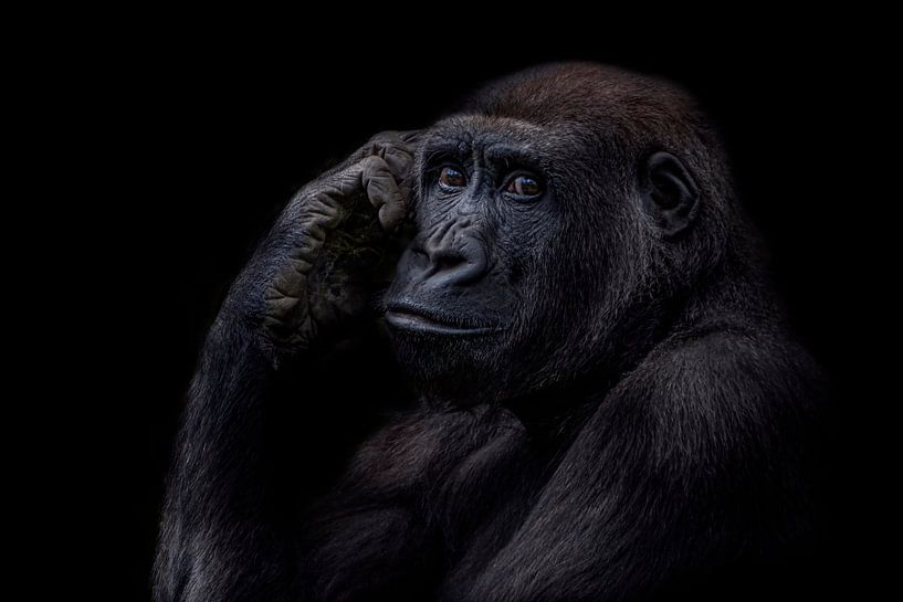 De denker von Ron Meijer Photo-Art