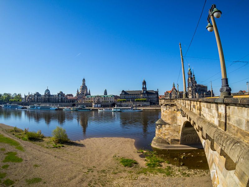 View of Dresden from the banks of the Elbe by Animaflora PicsStock