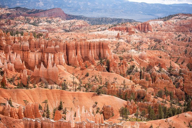 America, Bryce Canyon by Jacqueline Ermens