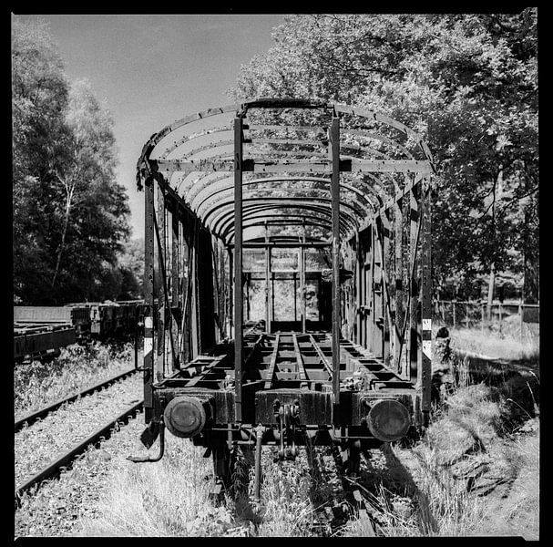 Verlassener Zug von Arnold van Rooij