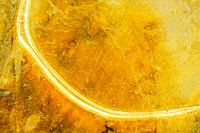 Abstrait de la nature #5 or