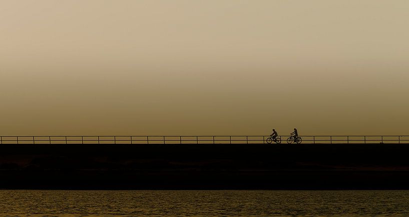 Radfahren auf dem Deich von Ellen Driesse