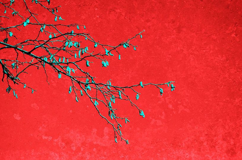 Branches en rouge II par Corinne Welp