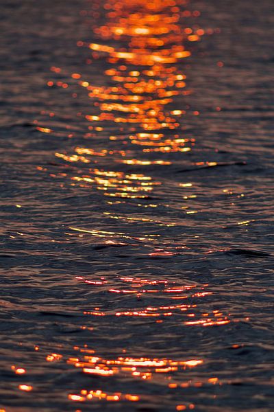 Zonsondergang Lauwersmeer 5 van Dalmuro
