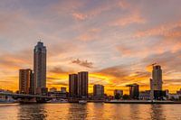 Skyline Rotterdam during sunset