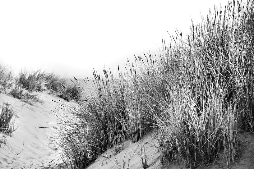 Dünen mit Strandhafer und Meerblick in Schwarz und Weiß von Anouschka Hendriks