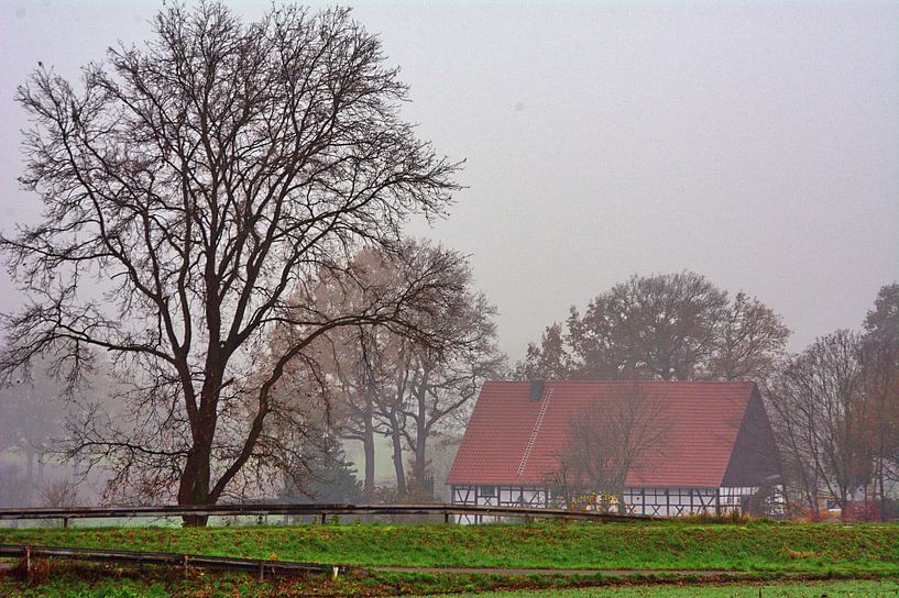 Nebelmorgen 1 von Edgar Schermaul