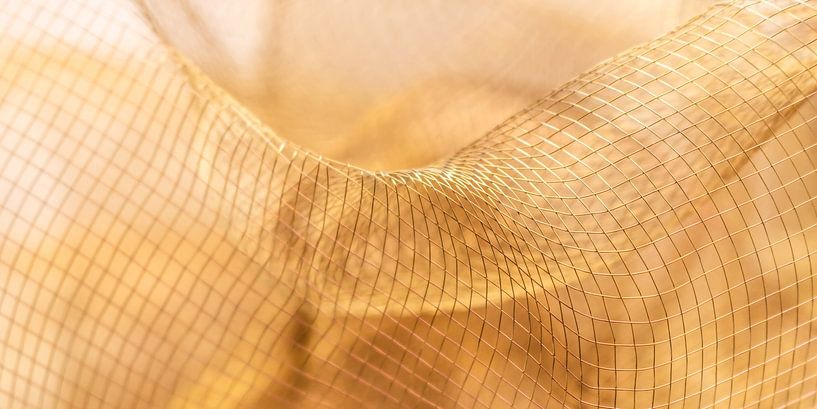 La résille dorée en détail par Mixed media vector arts