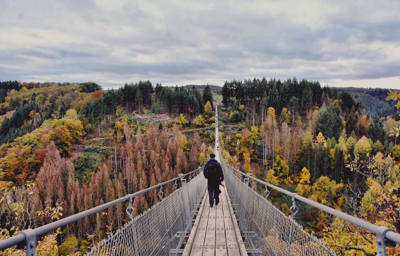 Hängebrücke Geierlay von Goldeneyes