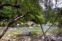 De wetten van de natuur