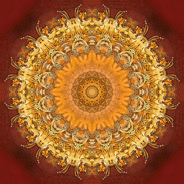 Kryddað hunang von Frans Blok - Fotos, Kunst und weitere Wanddekoration