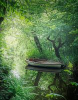 Verlassenes Boot im Heempark