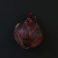 Oignon cru - photo tirée de la série " Raw ".
