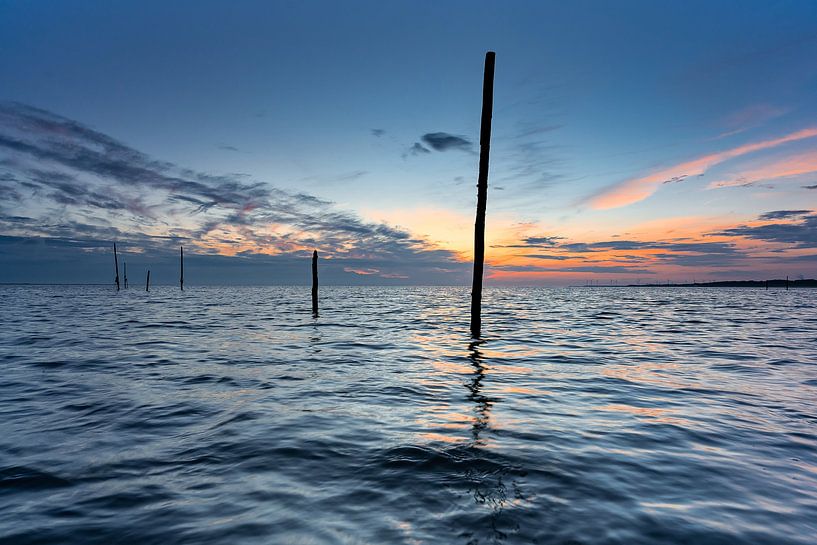 Angelruten 2 von Björn van den Berg