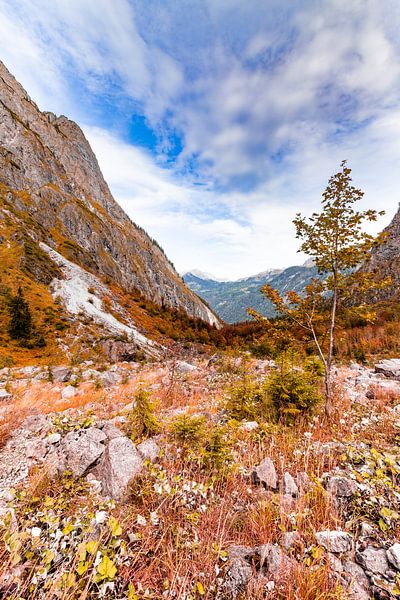 Berglandschaft am Watzmannmassiv von Dirk Rüter