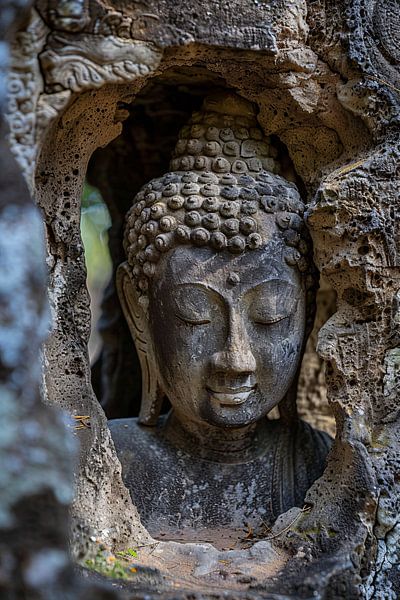 transparent par Imperial Art House