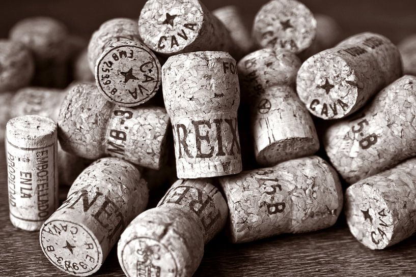 Champagne cork by Silva Wischeropp