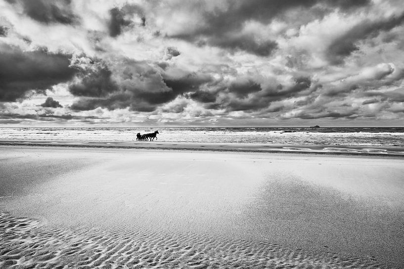 Pferde mit Sulky am Nordseestrand von eric van der eijk