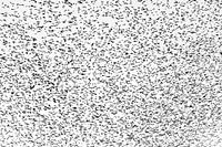 Essaim d'étourneaux image complète