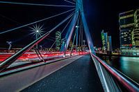 Le pont Erasmus - Continuer à avancer