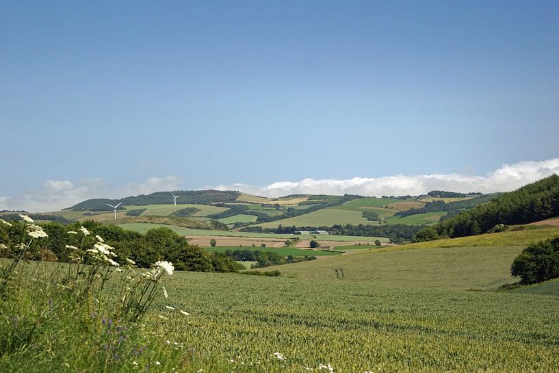 Scotland  landscape von Babetts Bildergalerie