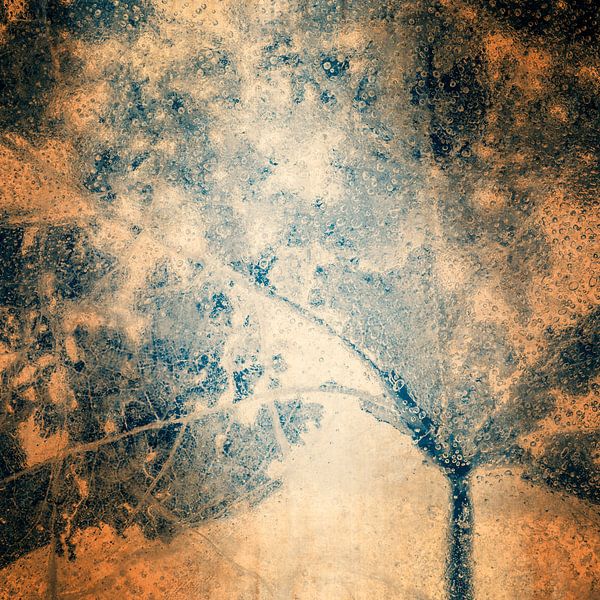 Blad II in ijs van Cor Ritmeester