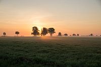 Sonnenaufgang, Sonnenaufgang