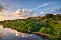 Weerspiegeling Buytenpark