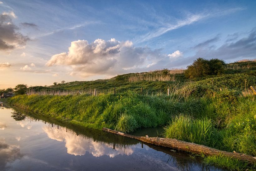 Reflexion Buytenpark von Ellen Weidenaar