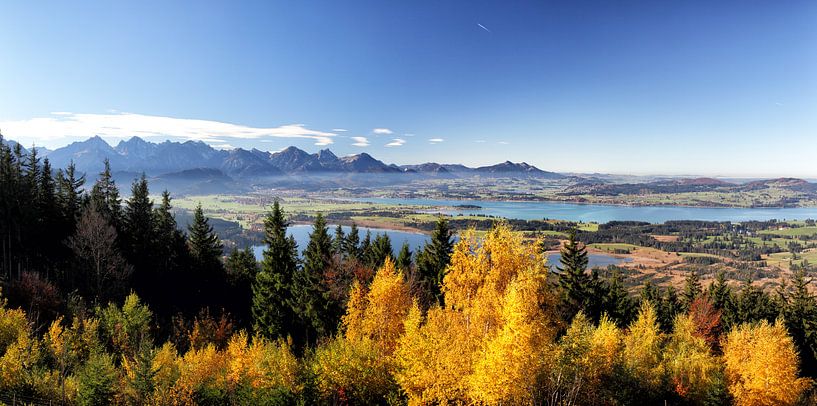 Alpenlandschaft im Allgäu von Dirk Rüter
