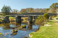 Historische Steinbrücke in Dartmoor National Park, England
