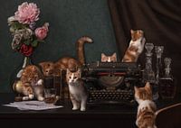 The game of kittens on an abandoned table.