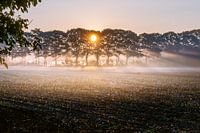 Zonsopkomst boven de Akker. 
