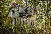 la maison de la sorcière dans la forêt
