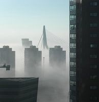 Rotterdam