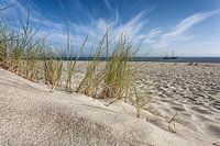 Am Sylter Ellenbogen