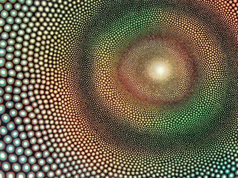 Impuls von Achim Prill