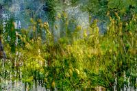 Natur hinter Glaswand