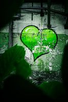 Das Herz im Verfall – Hoffnung inmitten der Ruinen