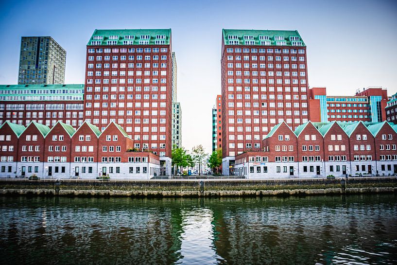 Toits verts par Ton Kool