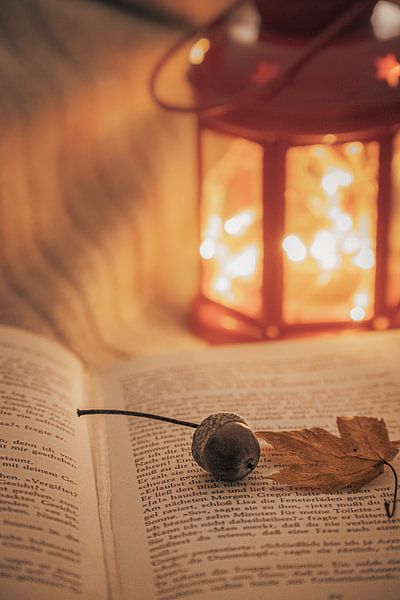 Herbstzeit von Karina Moersch