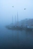 Leiden in the fog