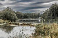 Wo Wasser auf Natur trifft